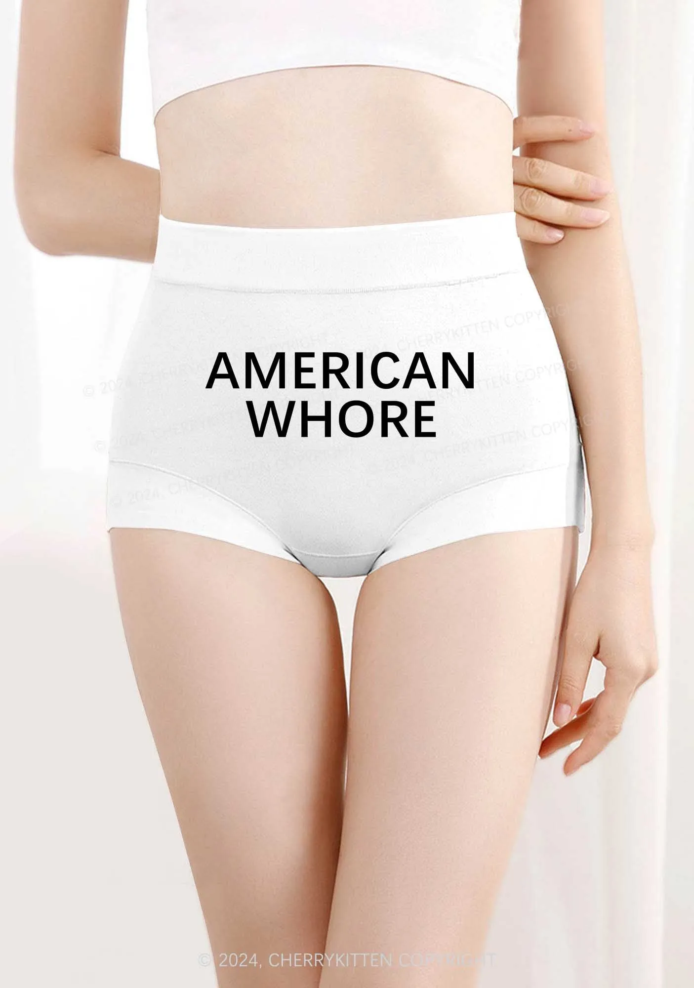 American Hore Y2K Mid Rise Waist Boyshort Cherrykitten