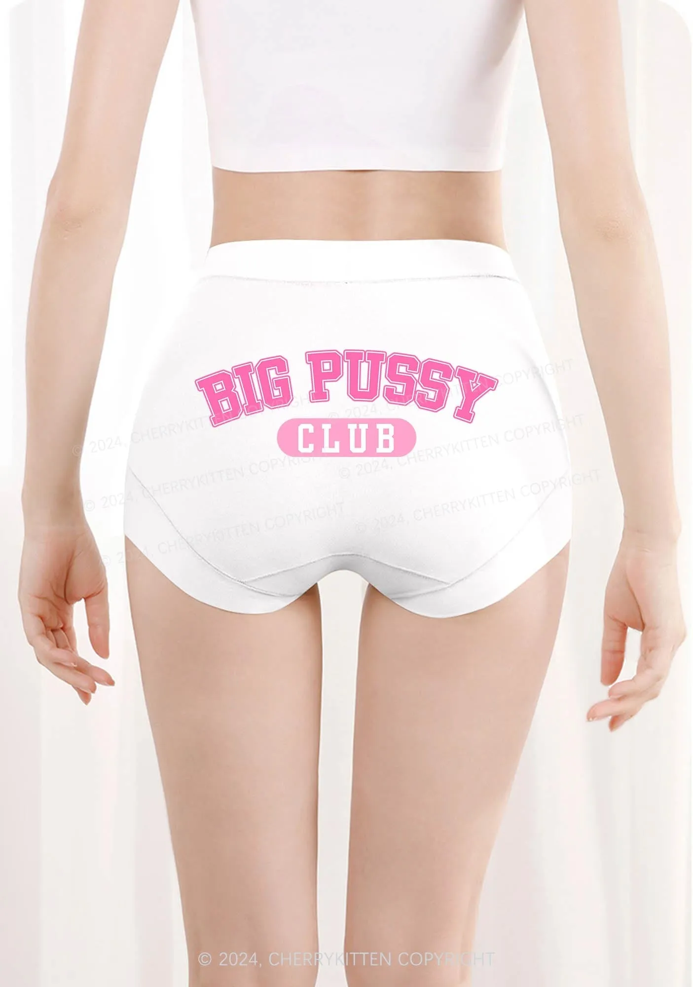 Big Puxxy Club Y2K Mid Rise Waist Boyshort Cherrykitten