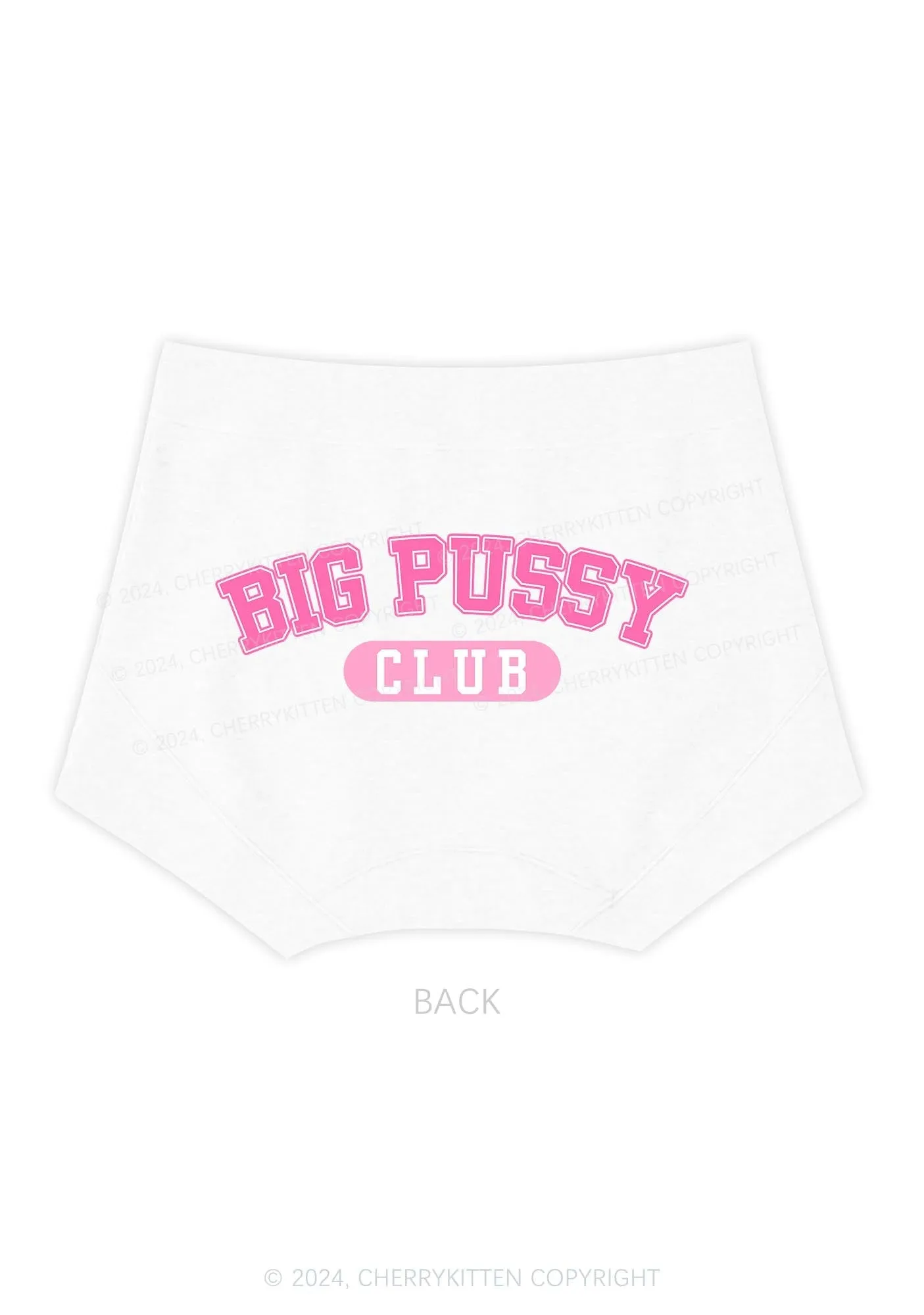 Big Puxxy Club Y2K Mid Rise Waist Boyshort Cherrykitten