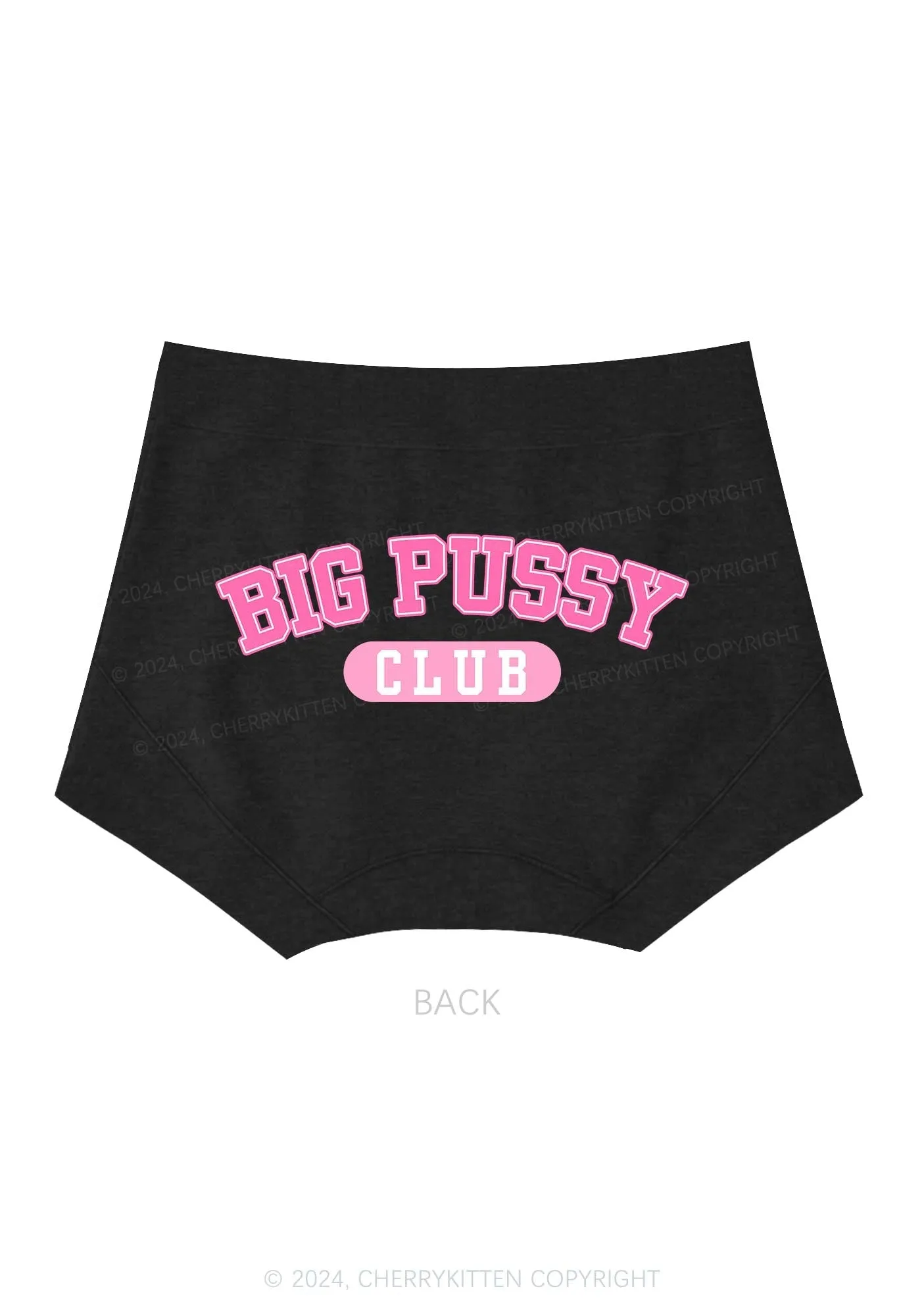 Big Puxxy Club Y2K Mid Rise Waist Boyshort Cherrykitten