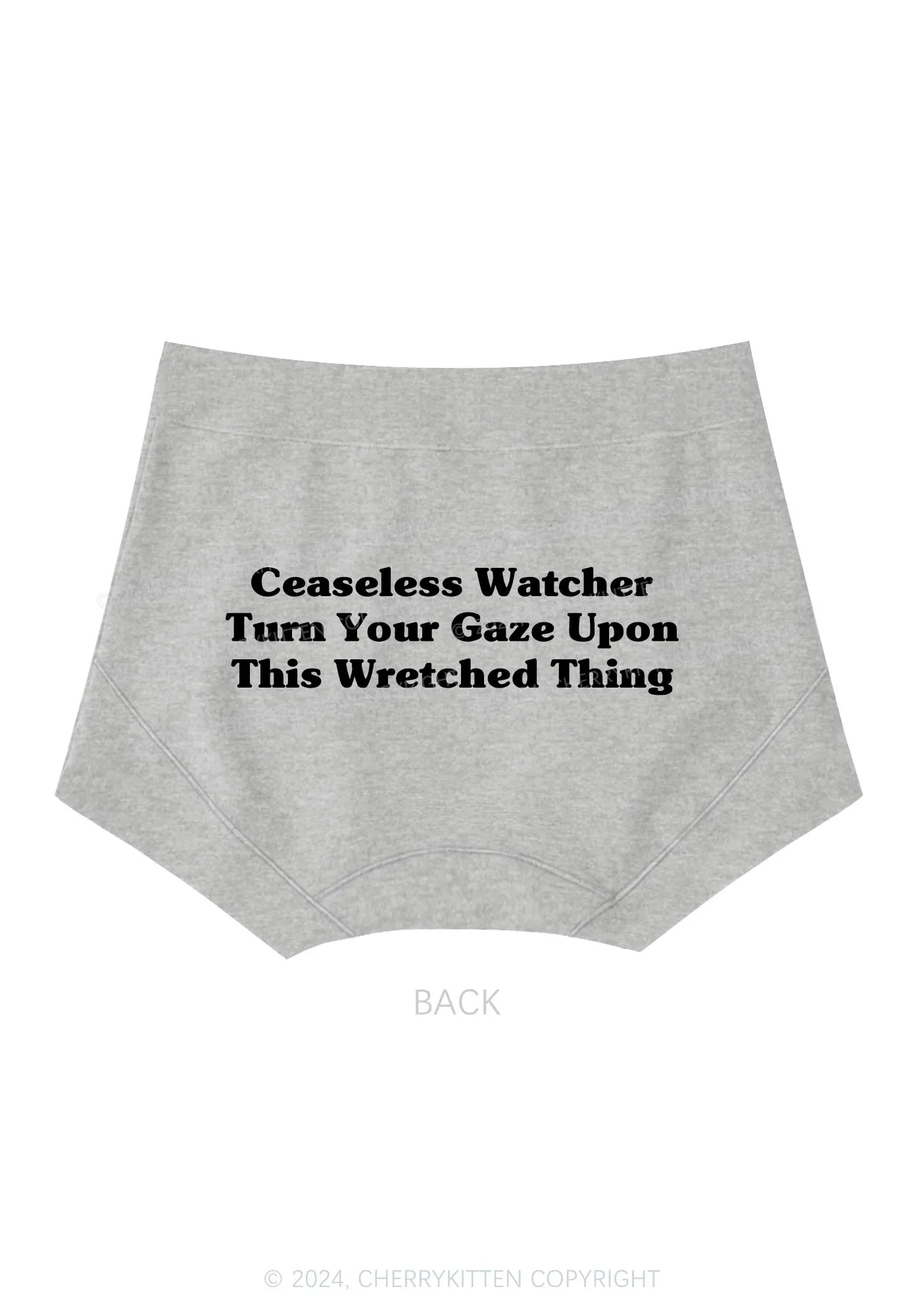 Ceaseless Watcher Y2K Mid Rise Waist Boyshort Cherrykitten