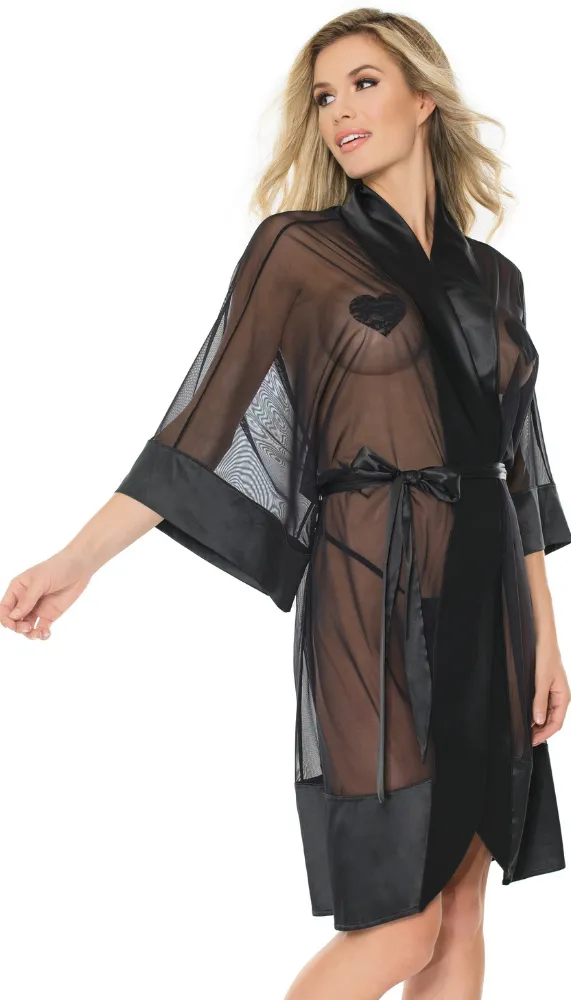 Sheer Black Robe